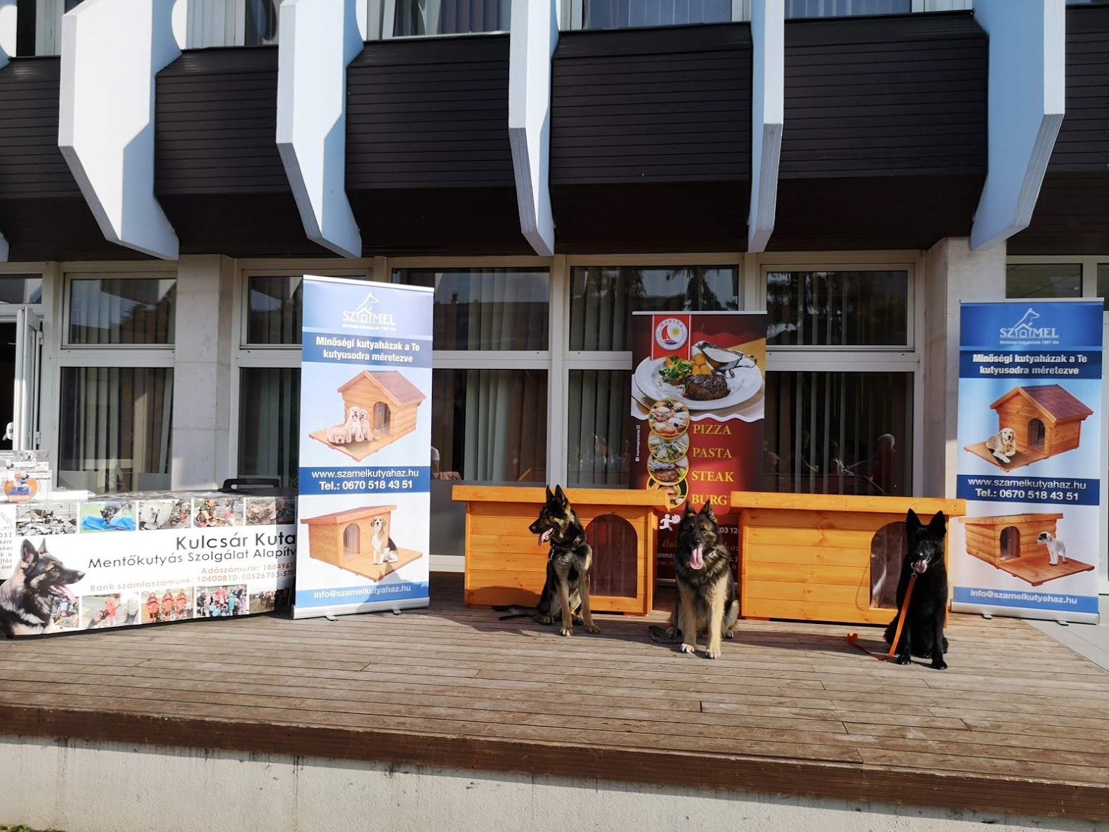 A "Példás" Sport és Egészségnapon jártunk